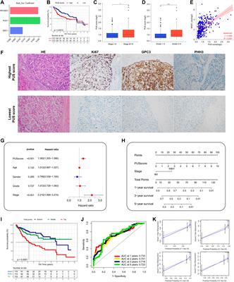 Integrative multiomics evaluation reveals the importance of pseudouridine synthases in hepatocellular carcinoma